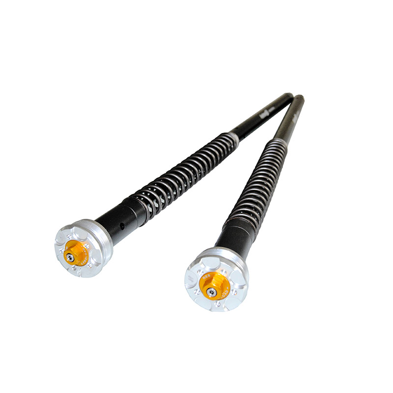 Cartouche Andreani Misano Evo 2 Pan America 1250