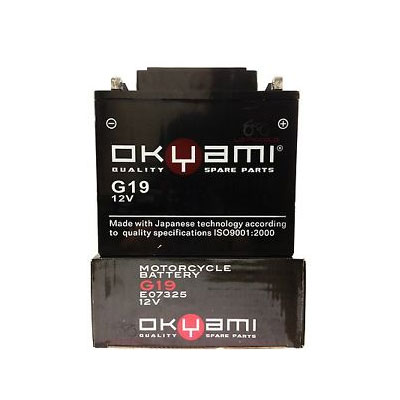 OKYAMI BATTERIA 3H4 6V 10A