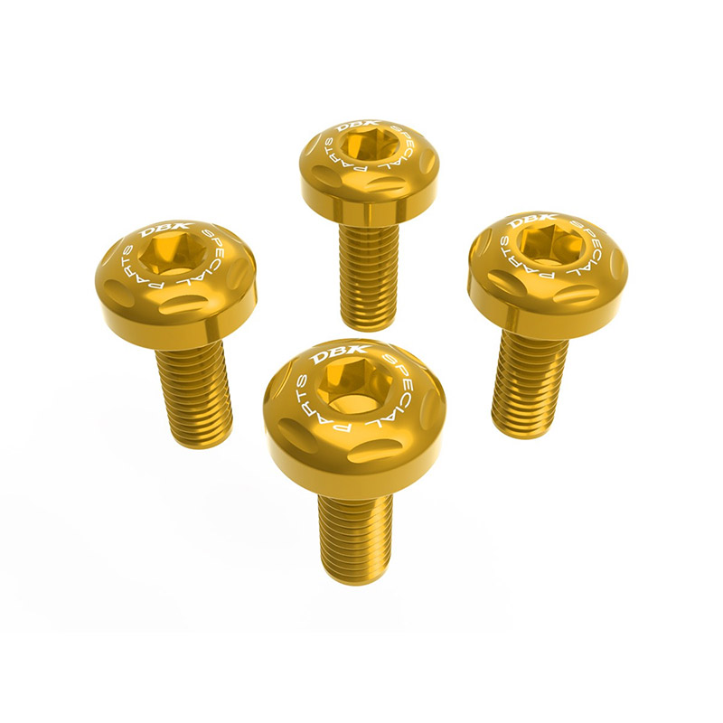 Kit Viti Parafango Anteriore Dbk R1300 GS oro
