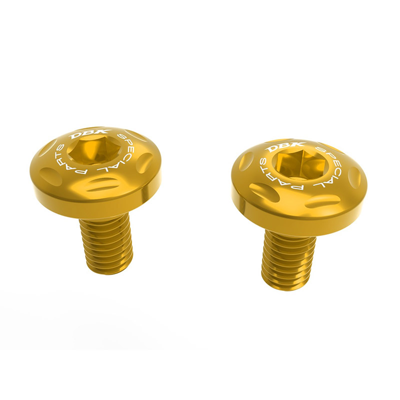 Viti Slider Teste Cilindri Dbk R1300 GS oro