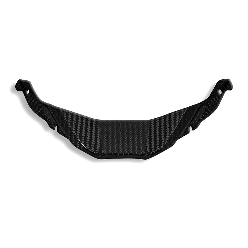 Deflettore Aria Centrale DBK S1000RR carbonio