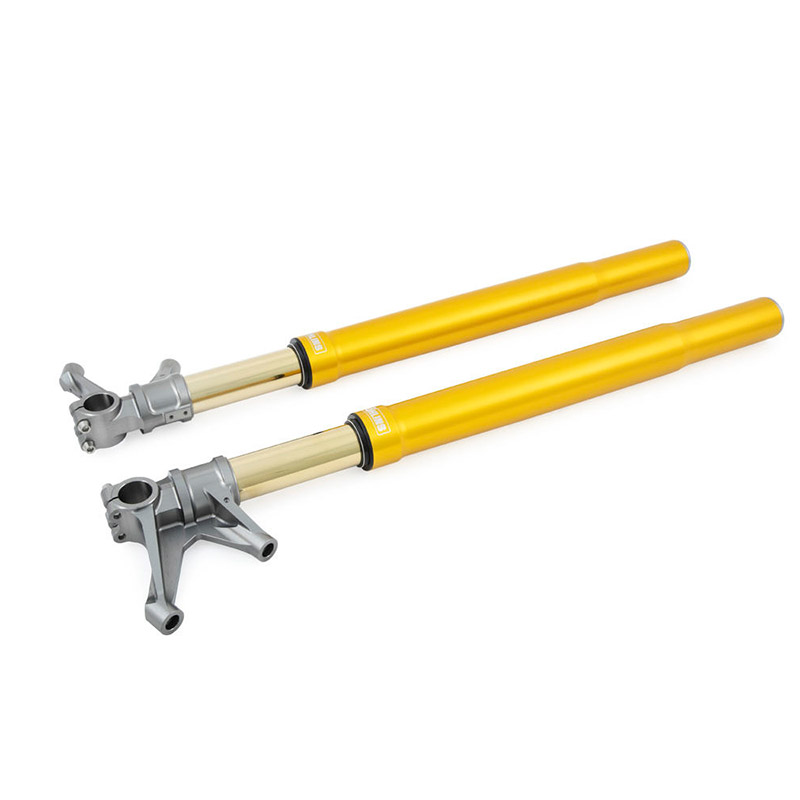 Forcella Ohlins FGR250 43 Racing Universale