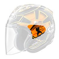 Arai Sz-r Vas Pedrosa Gold Spirit Side Pods
