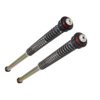 Cartucho Bitubo Presurizado Ajustable para Aprilia 660