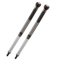 Cartucho Bitubo Ajustable para Cf Moto 450 MT Ibex 450