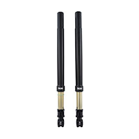 Ohlins Custom 43 Usd Blackline Fork