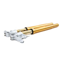 Forcella Ohlins Ducati 848/1098/1198 Fg R&t 43 Gold - img 2