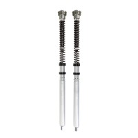 Kit Cartuccia Öhlins Supersport Ttx 25 S1000 Rr