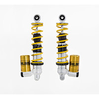 Ohlins S36p Front Shock Absorber Vespa Gts 300