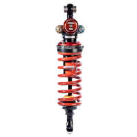 Mono trasero Bitubo BW051XXZB1 para BMW S1000RR