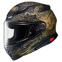 Shoei Nxr 2 Fearless Tc-6 Helmet
