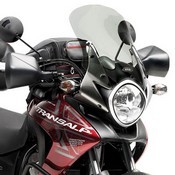 Givi D313s