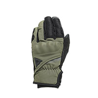 Gants Dainese Trento D-dry Vert