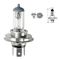 Okyami Lamp Hs1 12v 35 / 35w Halogen Px43t