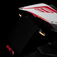 DB Race Direction Indicators for Panigale V4/V2 Space
