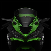 リゾマ ステルスミラー ペア Ninja ZX-6R ブラック - 2