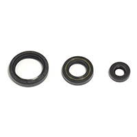 Kit de Joints d'Huile Moteur HUSQVARNA TE-TXC 250 10-14
