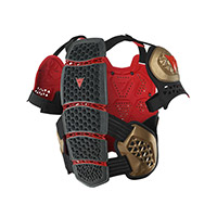 Dainese Mx1 Roost Guard Gold Black