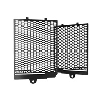 Isotta Gr1163 Radiator Guard Bmw R1300 Gs Black
