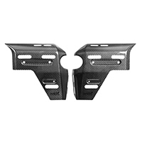Cubierta de Radiador Loboo R1300 GS ADV Carbono Brillante