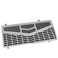 Mytech Bmw F800 Gs Radiator Guard Silver