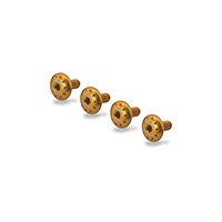 Cnc Racing Multistrada V4 Rack Screws Gold