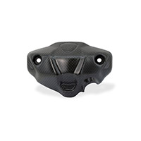 Cnc Racing Monster 937 Instrumentation Cover Carbon