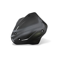 CNC Racing Sport Carbon Windschild MTS V4 matt