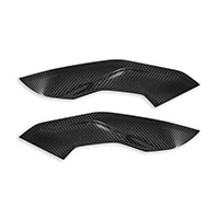 Dbk Bmw S1000r Side Panels Carbon