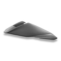 Dbk Panigale V4 2025 Tail Fairing carbon
