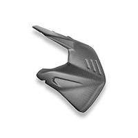Protezione Forcellone Dbk Panigale V4 25 Carbonio