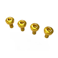 Viti Per Paratacchi Dbk Panigale V4 2025 Oro