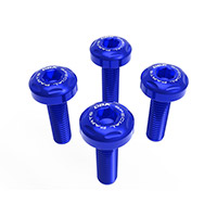 Dbk Windscreen Screws Kit Bmw R1300 Gs Blue
