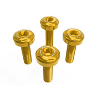 Dbk Windscreen Screws Kit Bmw R1300 Gs Gold