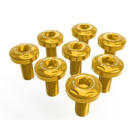Viti Fianchetti Posteriori Dbk R1300 Gs Oro