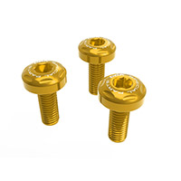Dbk High Exhaust Bolt Kit Bmw R1300 Gs Gold