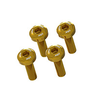 Vite Cover Scarichi Superiore Dbk Hm 698 Oro