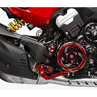 Levier De Frein Dbk Diavel V4 Rouge