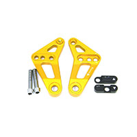 Ducabike Rear Link Suspension Gold