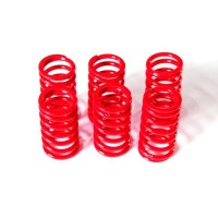 Dbk 6m01 Kit Clutch Springs Red