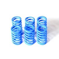 Dbk 6m01 Blue Clutch Spring Kit