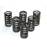 Dbk 6m01 Clutch Spring Kit Black