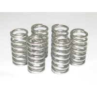 Dbk 6m01 Stainless Steel Clutch Spring Kit