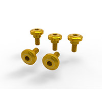 Ducabike Kvt11 Side Cover Screws Kit Gold