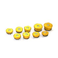 Dbk Ttsf01 Frame Caps Gold