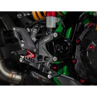 Pedane Lightech R Version Kawasaki Z900 Se