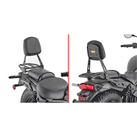 Schienalino Givi Ts4134c