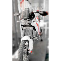 Ducabike H2o Radiator Guard Ducati Desertx Grey
