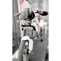 Ducabike H2o Radiator Guard Ducati Desertx Grey - 2