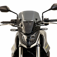 Pare-brise Isotta Low Honda Hornet 750 Fumé Foncé